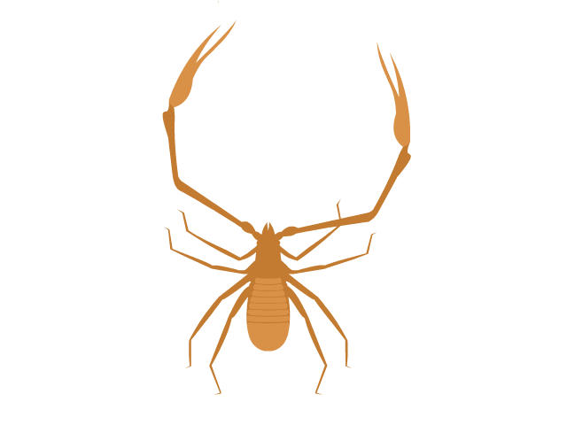 Biologos del Sistema Ibérico
